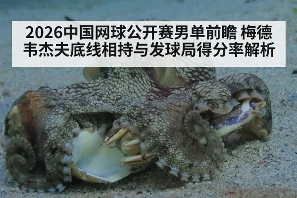 2026中国网球公开赛男单前瞻 梅德韦杰夫底线相持与发球局得分率解析 | j9 game